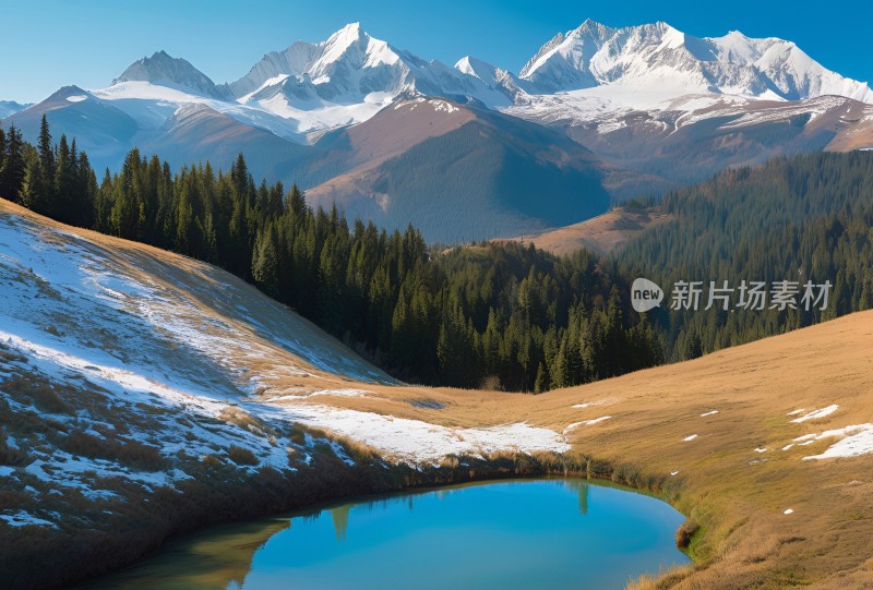 雪山高原草原森林风景