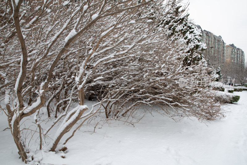 大雪后小区屋外厚厚的积雪雪景