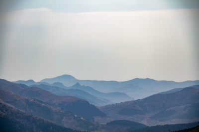 山水中看山水画