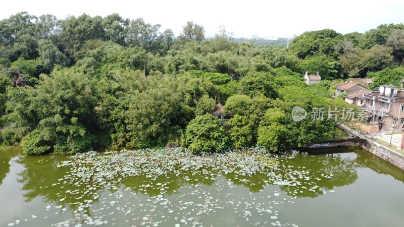 广东东莞：茶山镇牛过蓢古村落