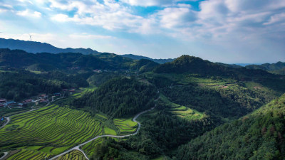 高山森林植物信号塔航拍