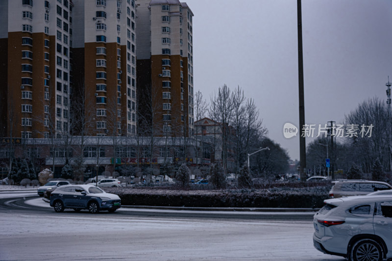 下雪的公园特写景观