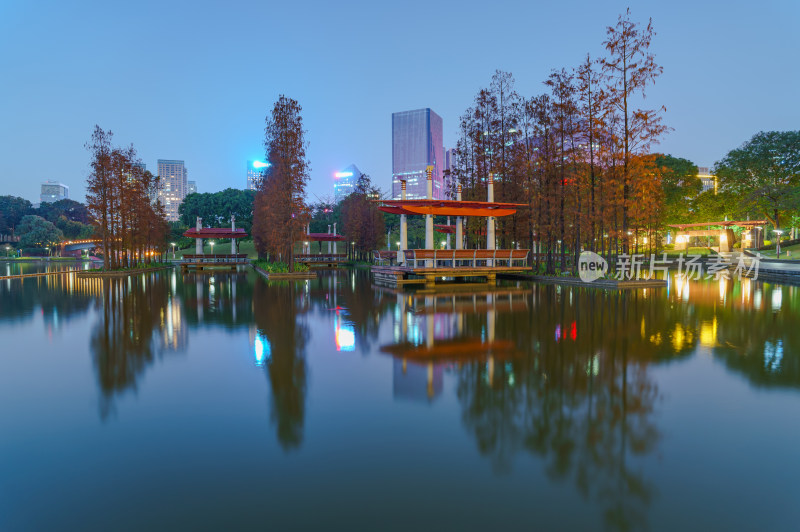 佛山千灯湖公园落羽杉红叶与城市夜景灯光