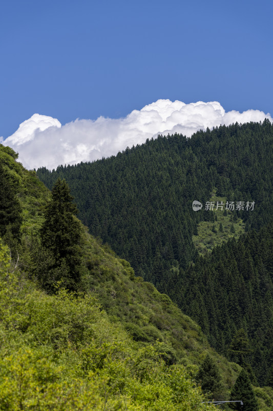 长焦视角下的蓝天白云高山森林