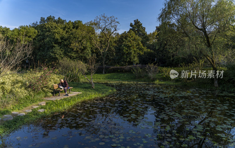 杭州西子湖畔杭州花圃风景