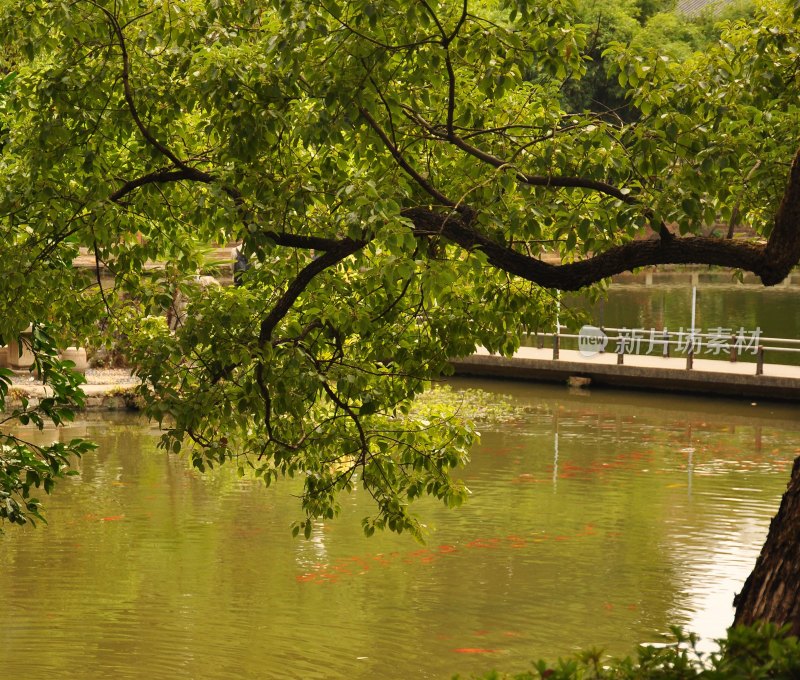 长沙风光  长沙街景 长沙城景  自然风景