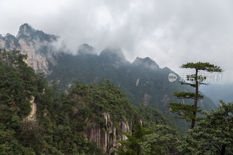 云海中的大明山