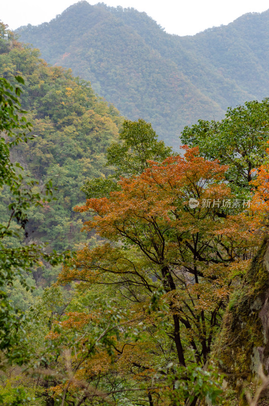 河南洛阳白云山景区秋色