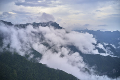 云海中的金佛山