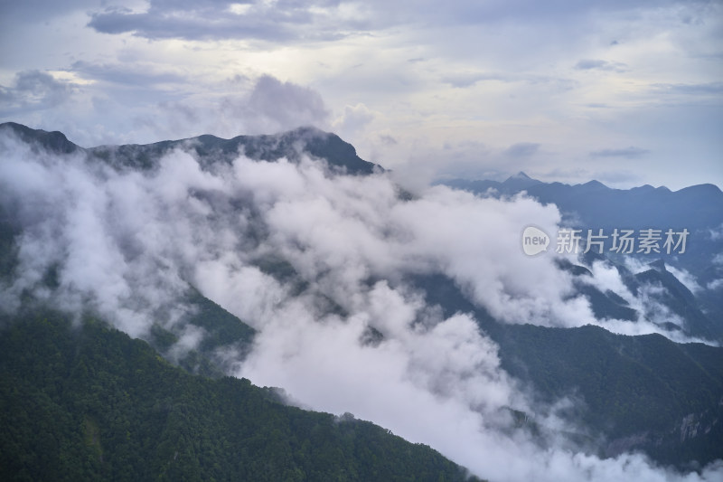 云海中的金佛山