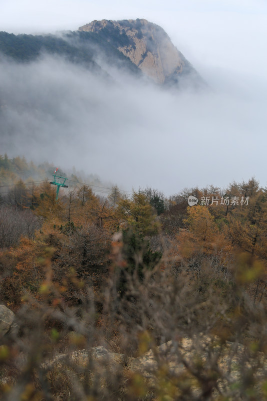 云海 山峰 山峦 山东 泰山