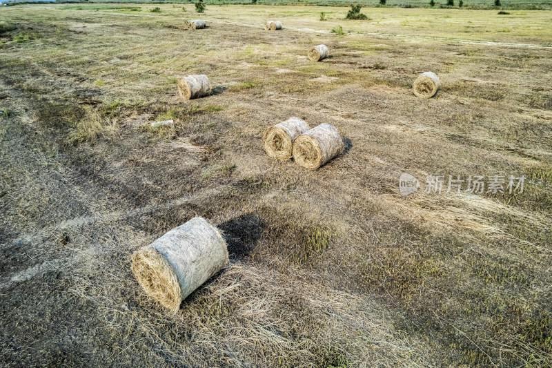 秋天天津团泊湖稻田草垛农业风光航拍