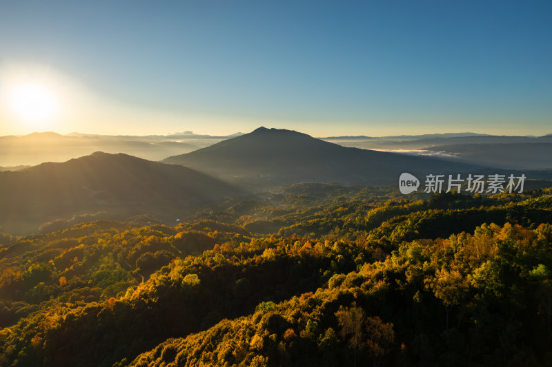 日出阳光 染红群山森林