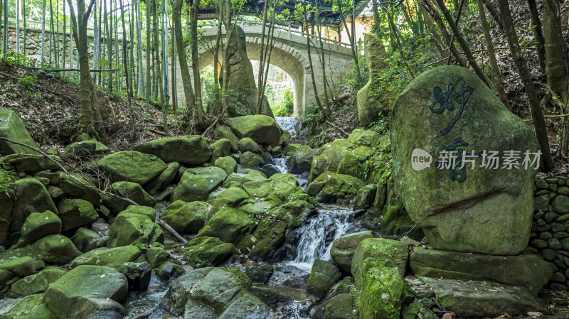 浙江天台山高明寺禅院风景