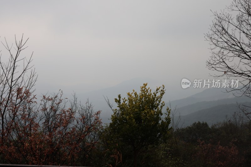 山林间朦胧远景