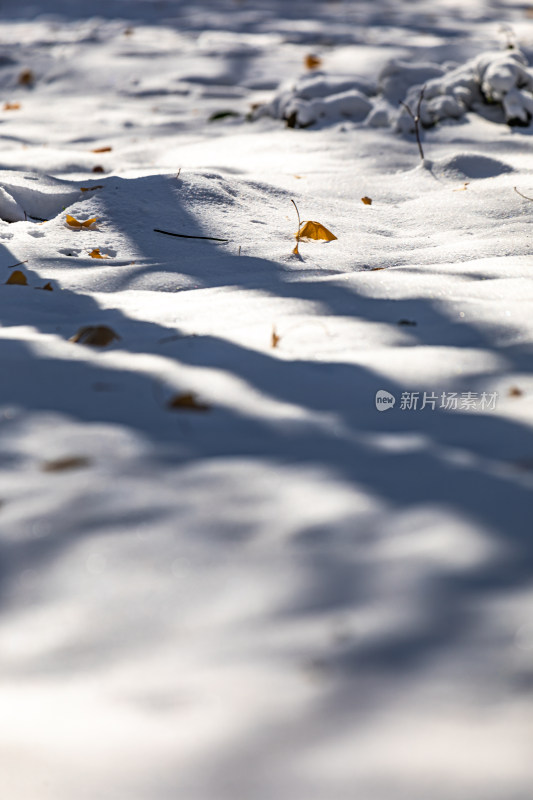 济南泉城公园自然景观雪景