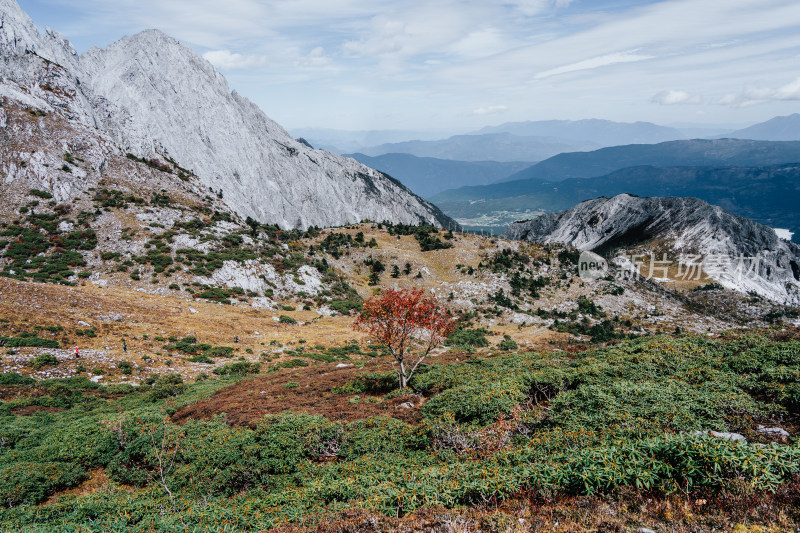 丽江玉龙雪山大峡谷