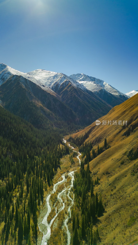 航拍雪山森林河谷自然风景