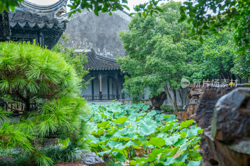 苏州木渎古镇私家园林严家花园