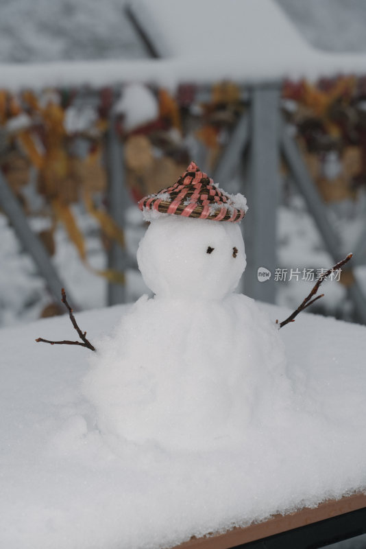 戴帽子的可爱小雪人