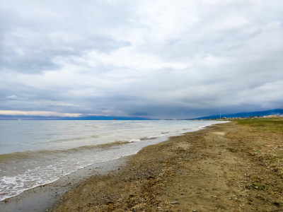 六月的青海湖风景