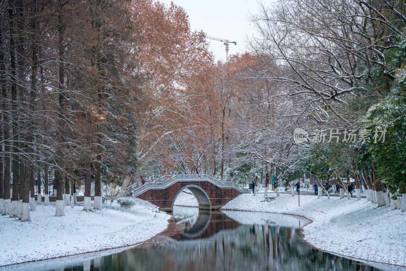 武汉冬天解放公园雪景