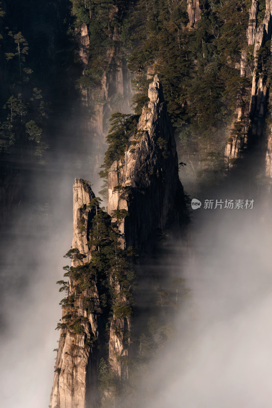 云雾中黄山的奇峰怪石