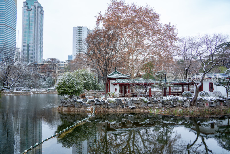 武汉中山公园雪景