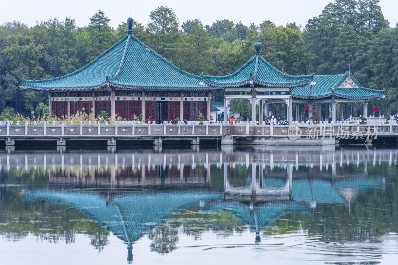 武汉东湖国家湿地公园碧潭观鱼