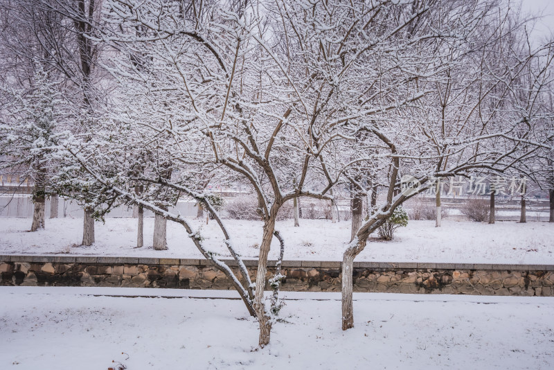 下雪了城市公园自然风景