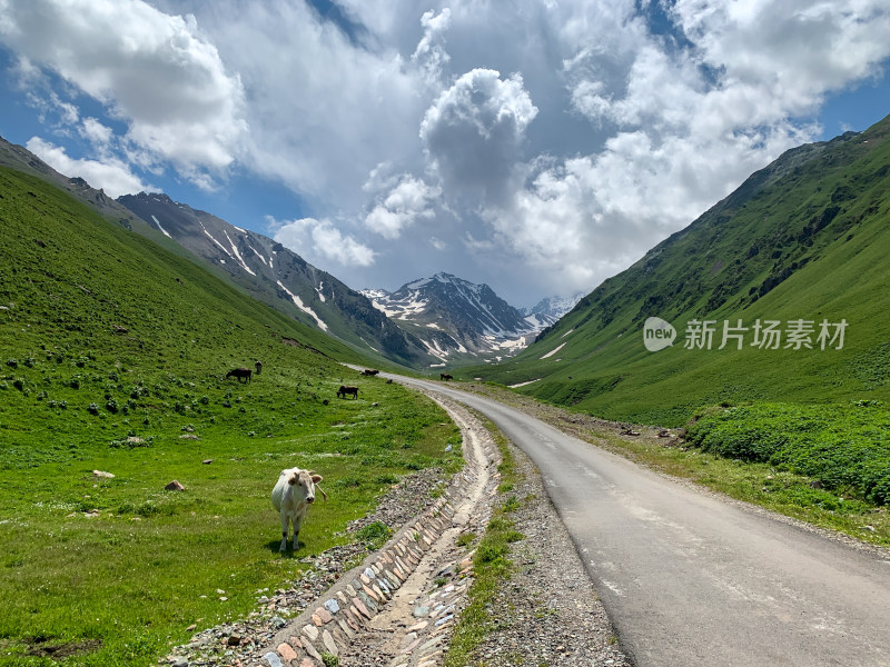 中国新疆伊犁那拉提草原旅游风光