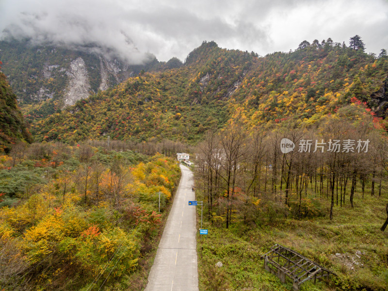 秋天树林云雾山峰