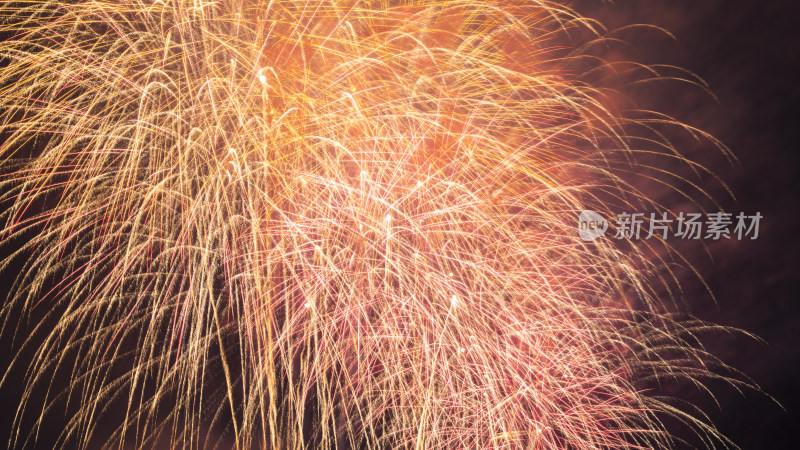 绚烂多彩的烟花绽放夜空