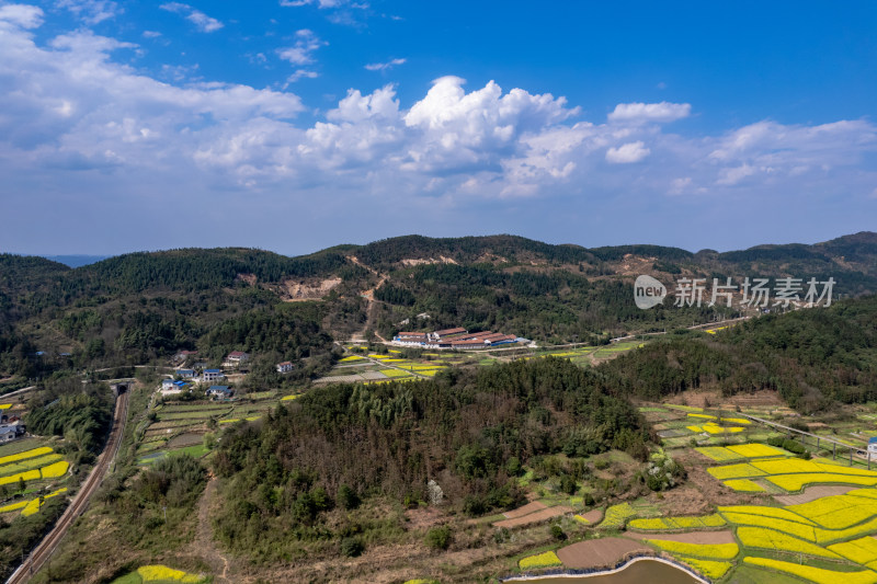 农业种植农田油菜花航拍图