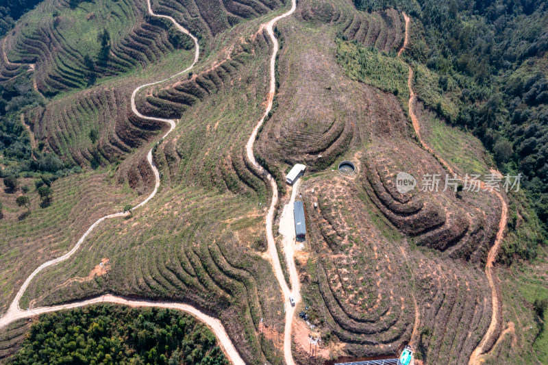 山坡上的梯田 经济作物种植基地