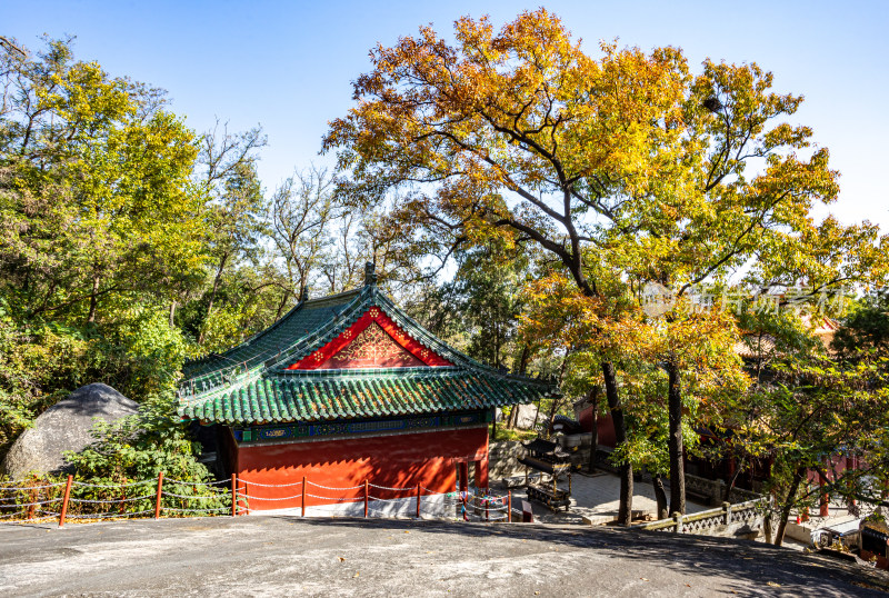 秋日中式古建筑与树林景致