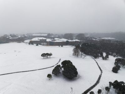 南京体育公园雪景