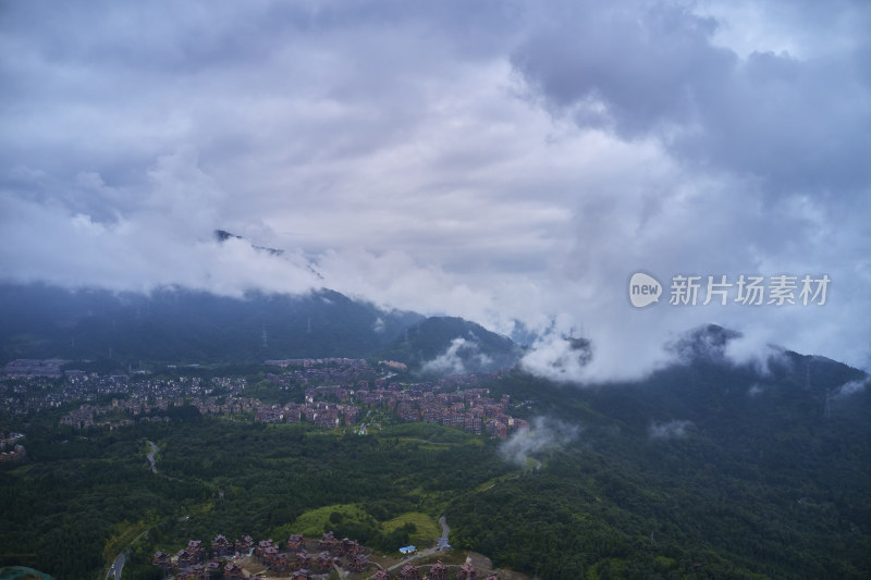 峨眉山的原始森林