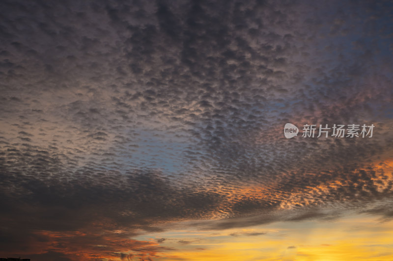 夕阳余晖下的云海