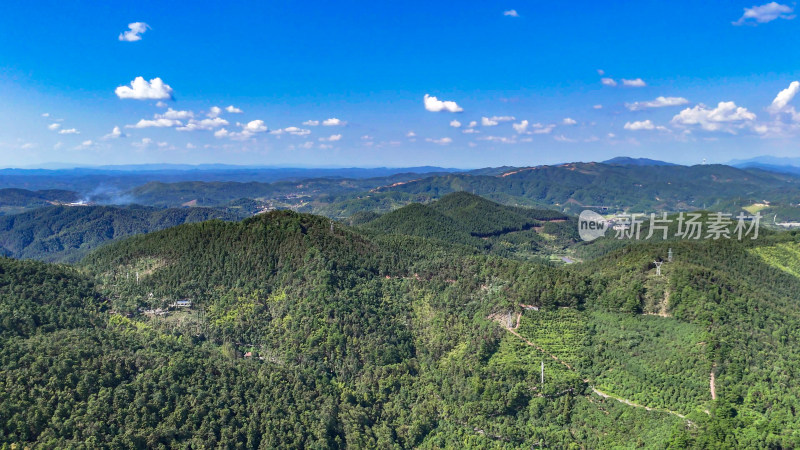 山川丘陵大山山脉森林植物航拍图