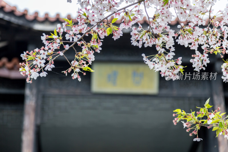 江苏无锡鼋头渚风景区