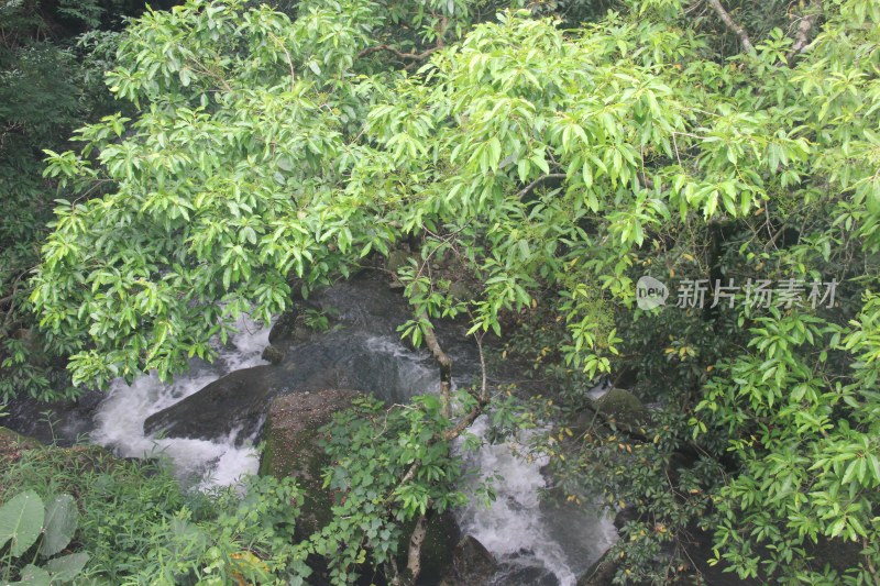 广东东莞：山涧流水潺潺