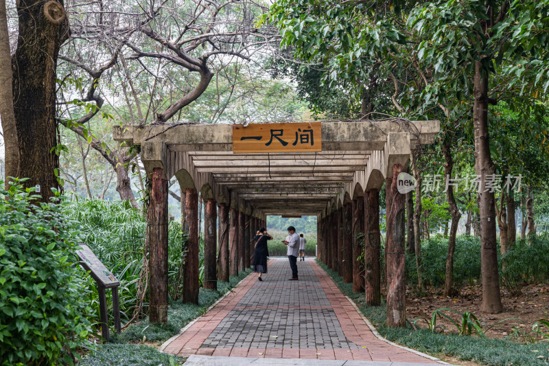 深圳市石岩湿地公园