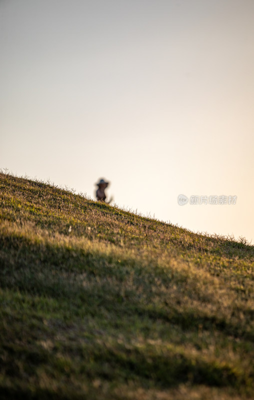 黄昏落日时青岛小麦岛公园自然风景城市景观