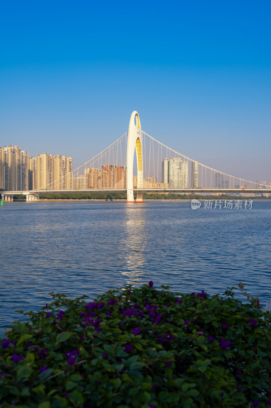 广州猎德大桥风景