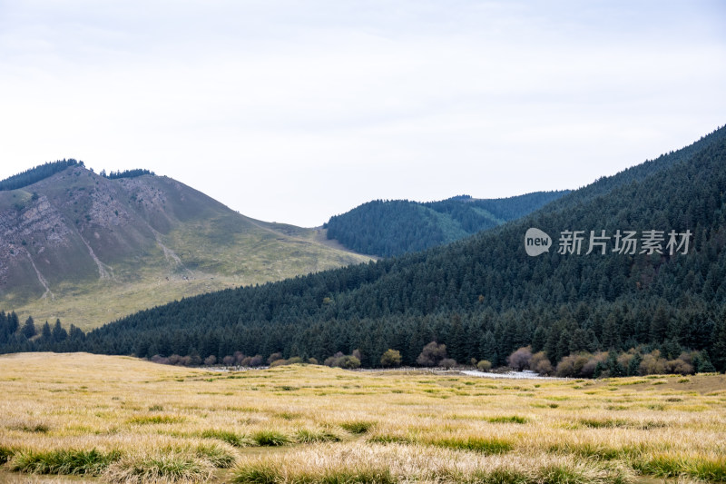 武威冰沟河景区