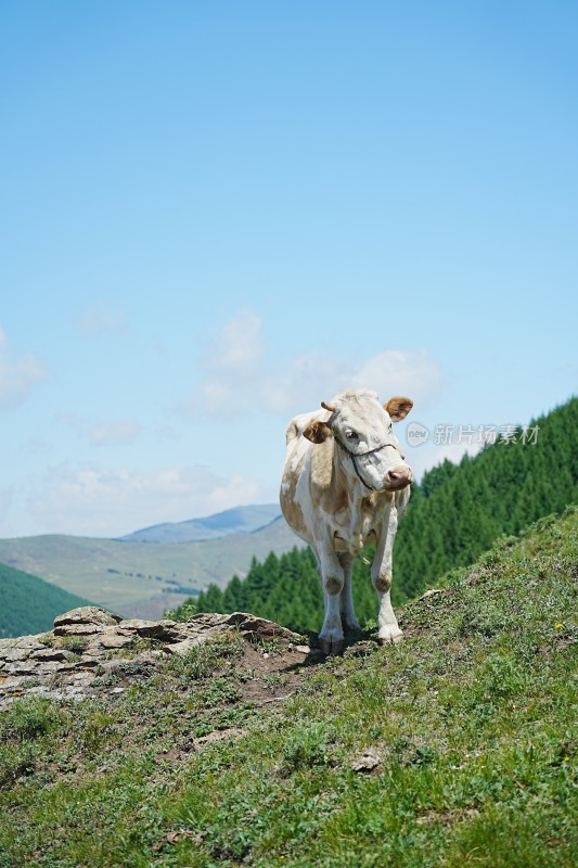 五台山南台风光