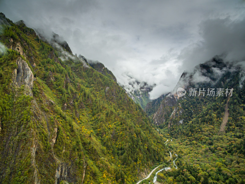 秋天树林云雾山峰