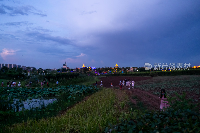 武汉花博汇夜景