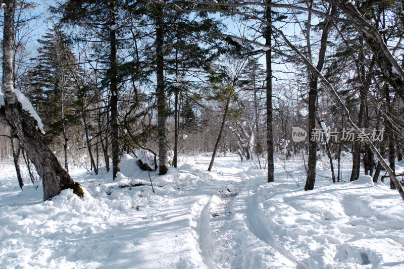 长白山雪岭冬日风光